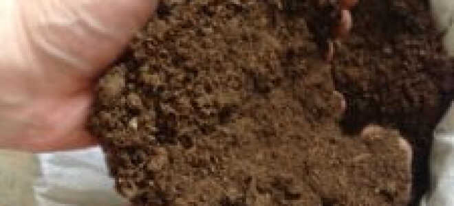 Для чего используется торф: удобрение, топливо, теплоизоляция