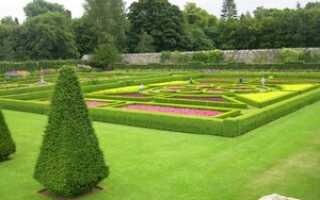 Газонная трава: виды, особенности, характеристики, сравнение стоимости, что учесть при выборе травы