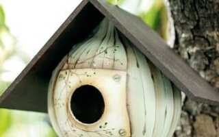 Как сделать для птиц скворечник из подручных материалов своими руками: чертежи и размеры