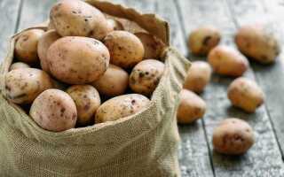 5 главных правил успешной зимовки картофеля