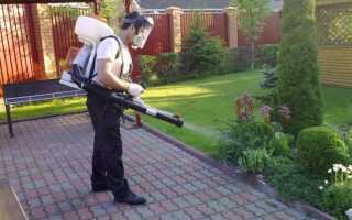 Ранцевые садовые электрические опрыскиватели — описание, принцип работы