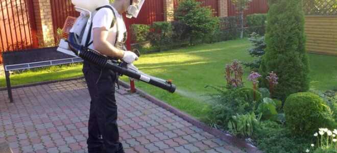 Ранцевые садовые электрические опрыскиватели — описание, принцип работы