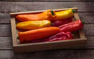 Легендарный сладкий перец «Рамиро» — опыт выращивания и использования