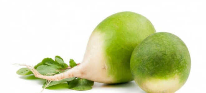 Какие витамины есть в садовой редьке?