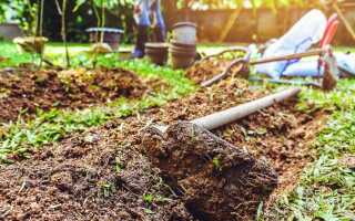 10 главных ошибок применения ЭМ-препаратов