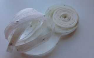 Семена на ленте своими руками: плюсы и минусы, правила посадки