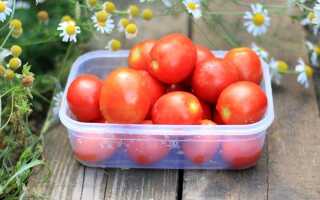 12 сортов томатов, испытанных мною в прошлом году