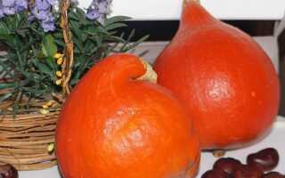 Потимарон, или тыквокаштан — чудо-овощ из Франции или обычная тыква?