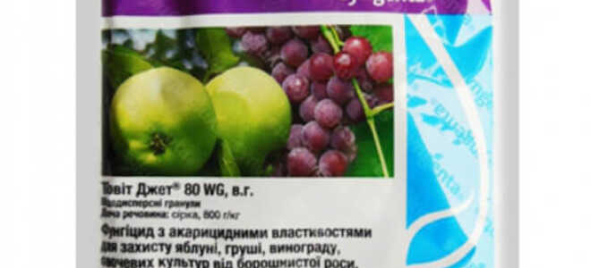 Тиовит Джет — инструкция по применению препарата