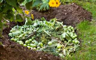 Что можно и нельзя класть в компост?