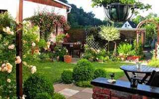 Дизайн ландшафтный небольшого участка перед домом: правила и нюансы оформления, рекомендации дизайнеров