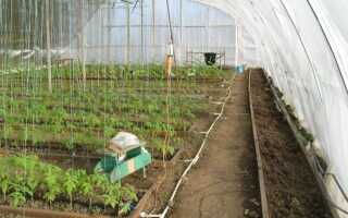 Обогрев теплицы из поликарбоната — как это происходит и что нужно знать садоводу