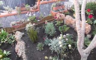 Дизайн садового участка своими руками: подготовка, основные работы, фото в деревне