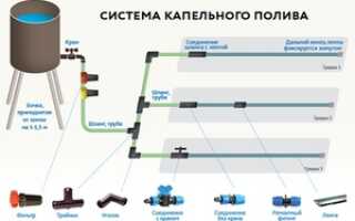 Система капельного орошения: схема, монтаж ленты для полива своими руками