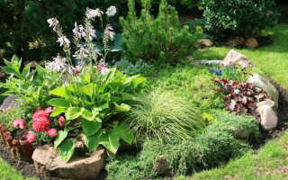 Камни для рокария — место, как сделать, советы, рекомендации