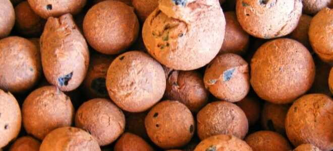 Правильный выбор дренажа для комнатных цветов и полезные советы по его использованию