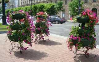 Уличные вазоны для цветов: виды, преимущества и недостатки, способы изготовления своими руками