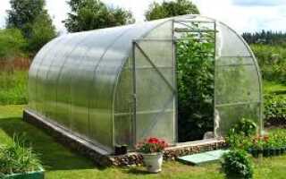 Грядки в теплице своими руками: особенности и принципы создания