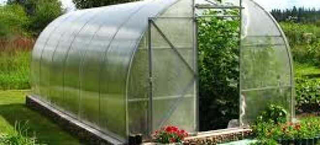 Грядки в теплице своими руками: особенности и принципы создания