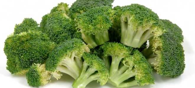 Королева брокколи — выращивание в открытом грунте