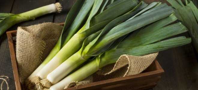 5 причин выращивать лук-порей