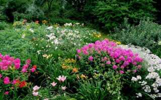 Как остановиться и перестать сажать?