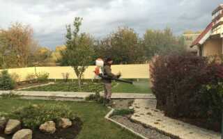 Золон — инструкция по применению и особенности использования