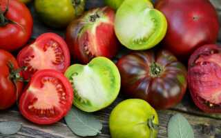 Лучшие сорта томатов для экстремальных условий — короткого лета или жары