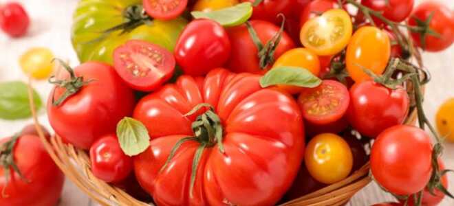 Лучшие сорта раннеспелых томатов от компании «Евросемена» г. Барнаул