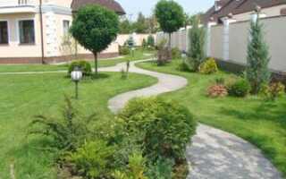 Оформление двора на участке: создание проекта, этапы, интересные варианты