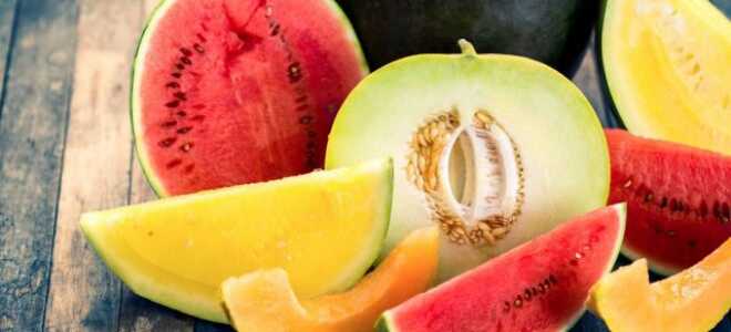 Прививка арбузов и дынь на лагенарию — решение для холодного климата