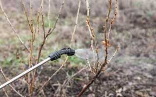 «Профилактин Лайт» для ранневесенней обработки сада