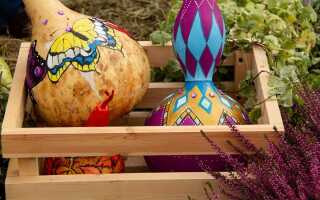 Посуда и другие поделки из лагенарии своими руками