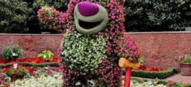 Ландшафтный дизайн участка 10 соток: как оформить самостоятельно