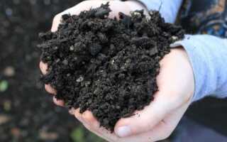 Какая почва из существующих видов самая плодородная