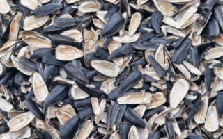Шелуха от семечек как удобрение на садовом участке