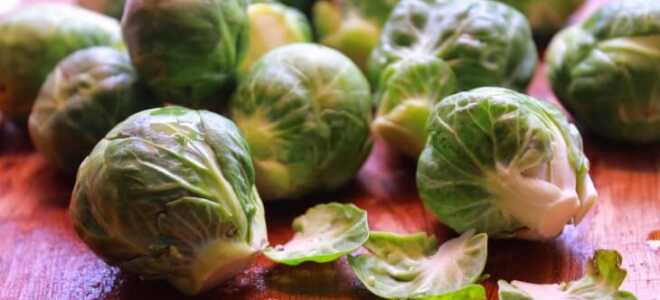 Брюссельская капуста — выращивание и уход без хлопот