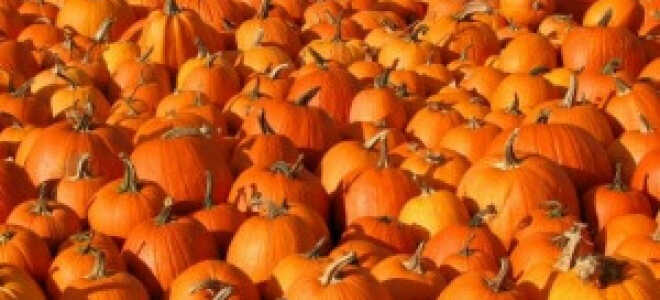 Как сохранить разрезанную тыкву на зиму