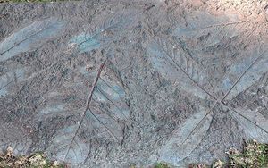 Декор на бетонной дорожке