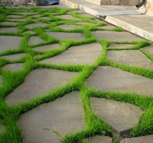 Изготовление дорожек с помощью форм