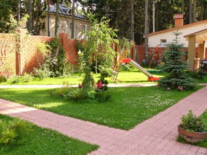 Хвойные и декоративно-лиственные