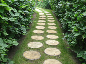 Деревянная дорожка