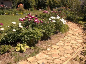 Дорожка из спилов