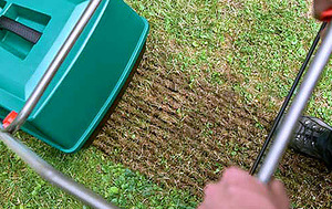 Посадка семян