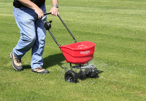 Функциональные свойства сеялок для газонной травы