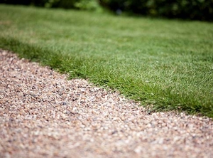 Как посадить траву на газоне