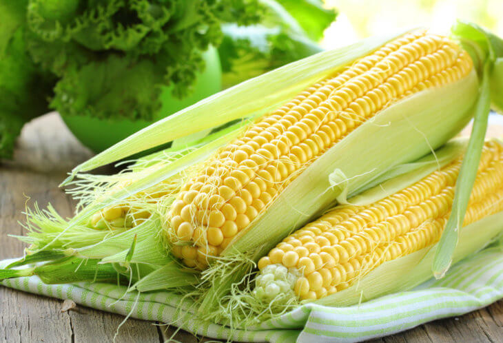 Отличный урожай кукурузы