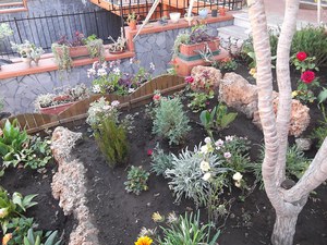 Садовый дизайн своими руками.