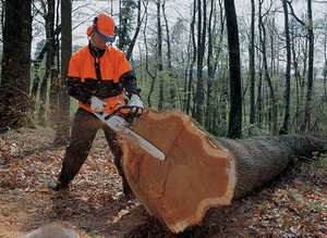 Мощность двигателей цепных электрических пил