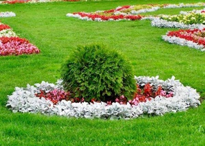 Как сделать газон на даче.